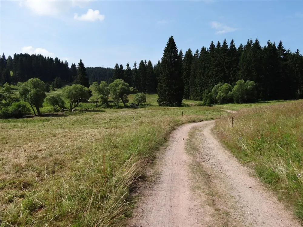 Waldcampingplatz Meyersgrund