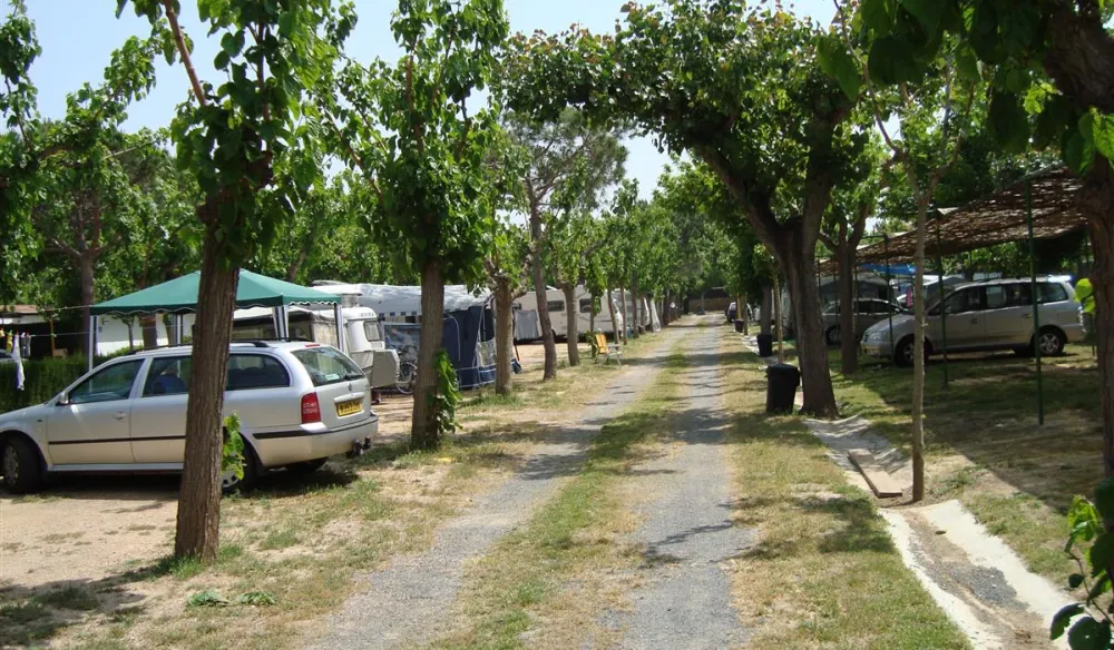 La Siesta Salou Camping Resort