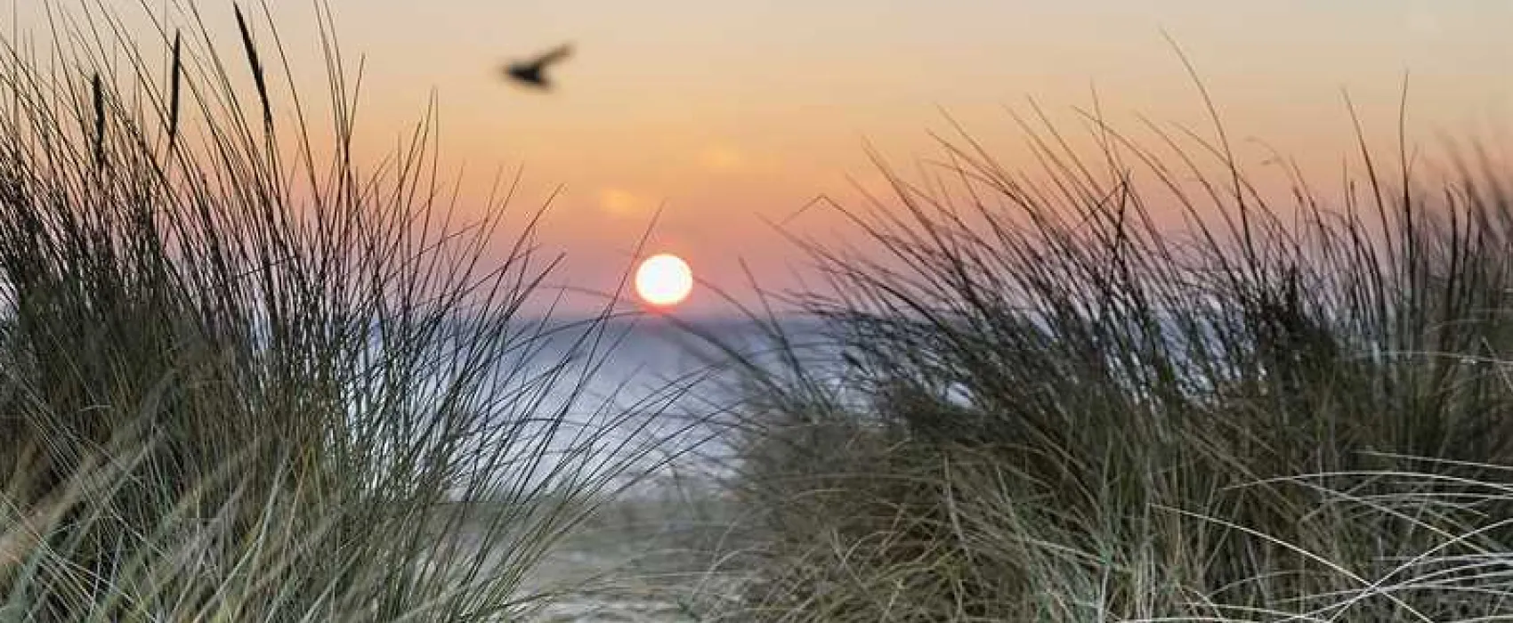 The Plough Inn Wangford