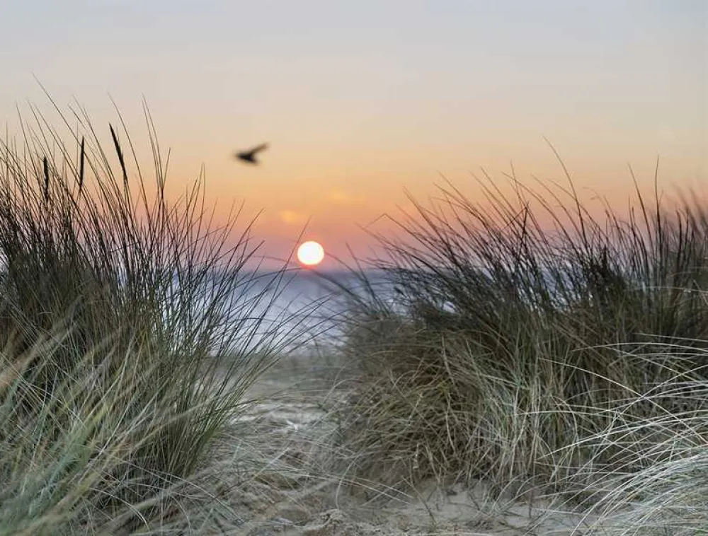 The Plough Inn Wangford