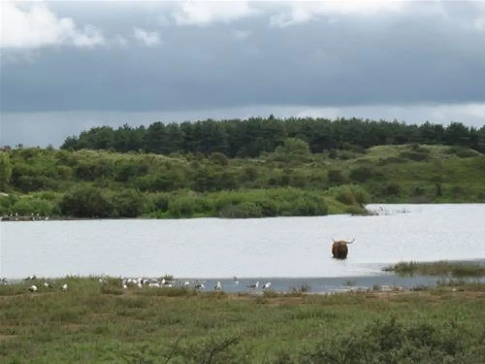 Kennemer Duincamping de Lakens