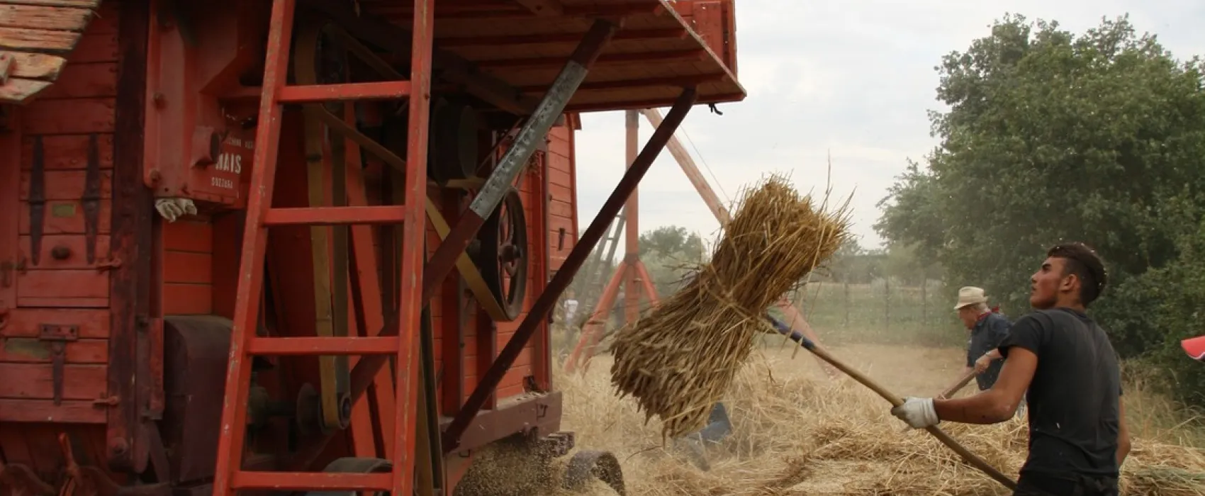 Camping Villaggio Le Ginestre