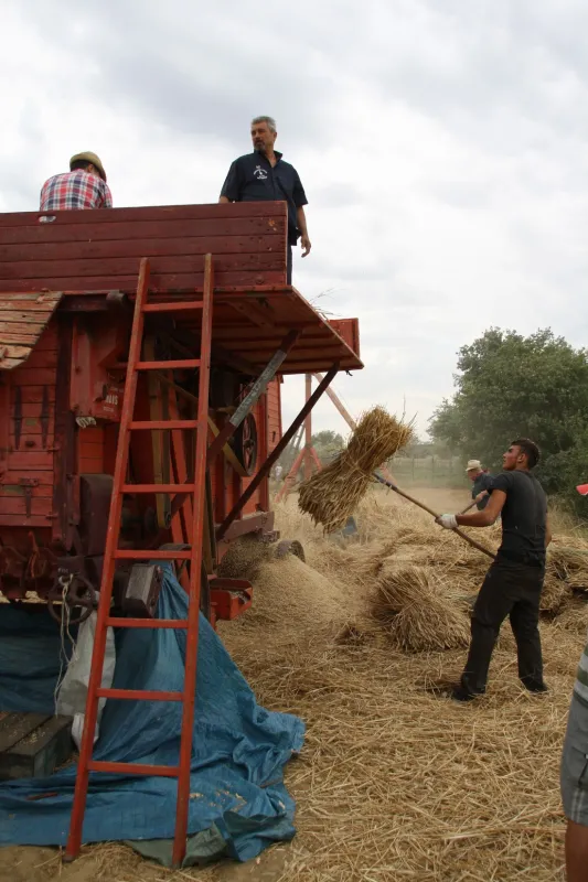Camping Villaggio Le Ginestre