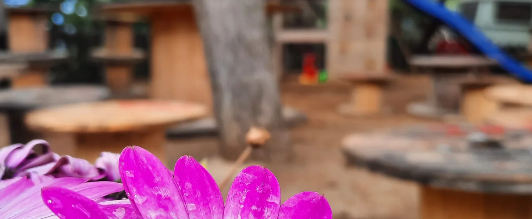 Camping Internazionale Nettuno