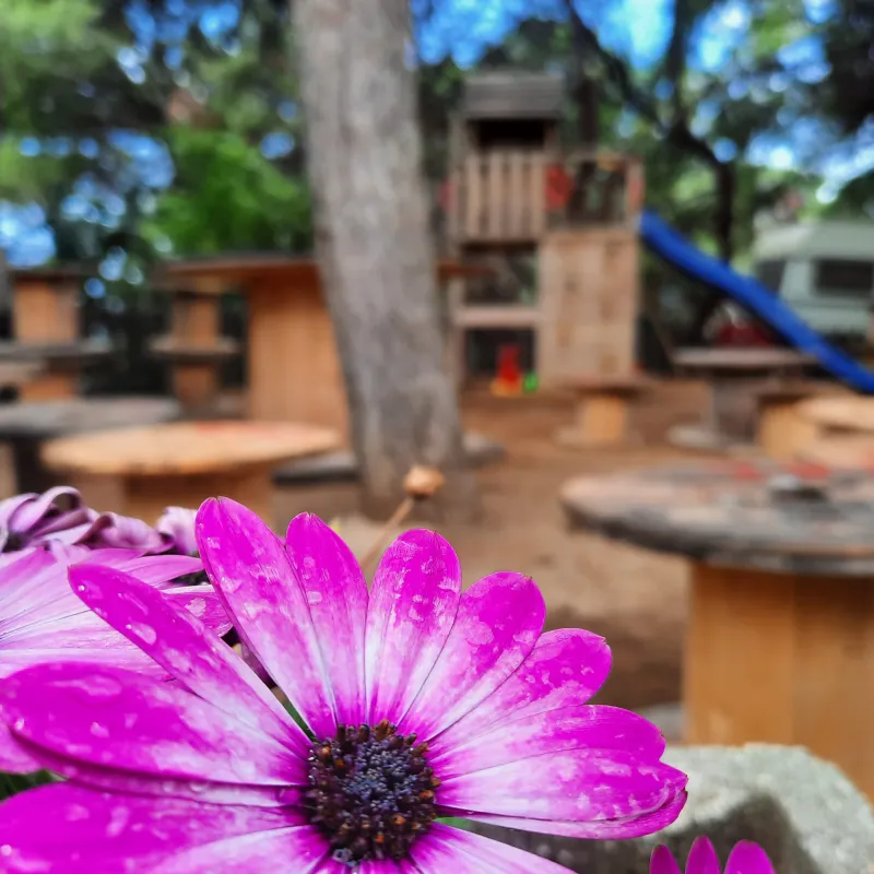 Camping Internazionale Nettuno