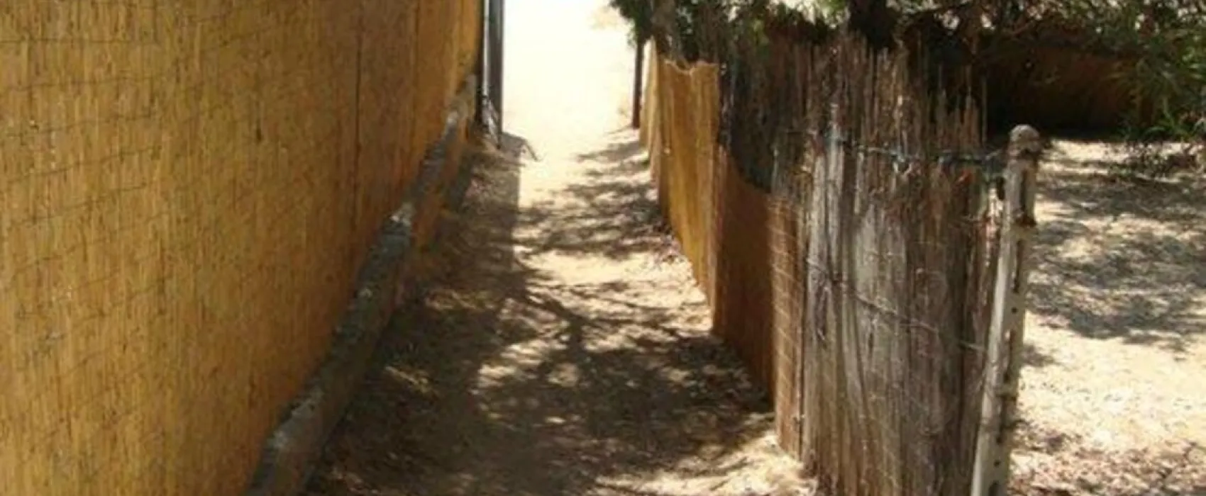 Camping Internazionale Nettuno