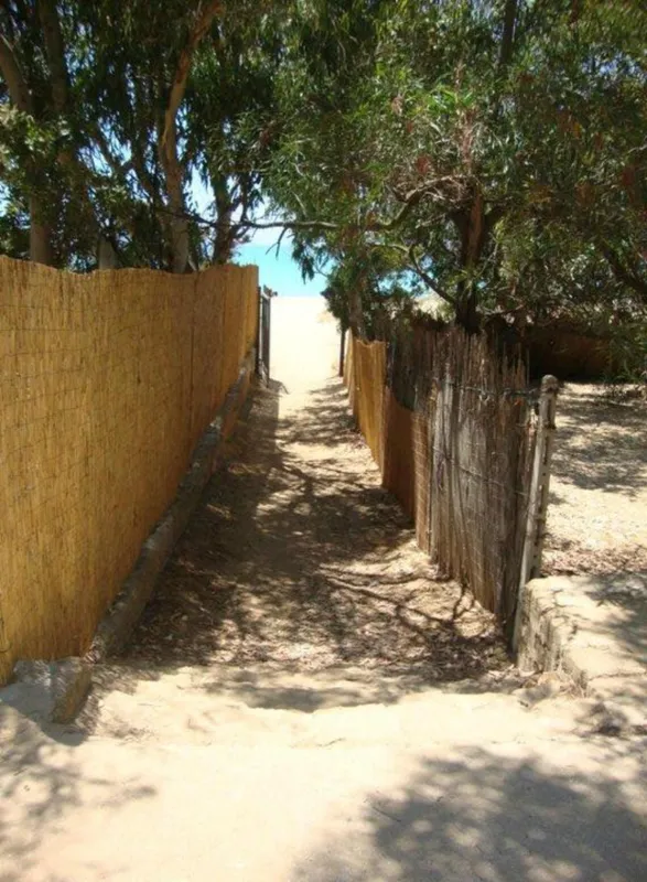 Camping Internazionale Nettuno