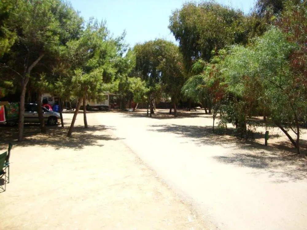 Camping Internazionale Nettuno
