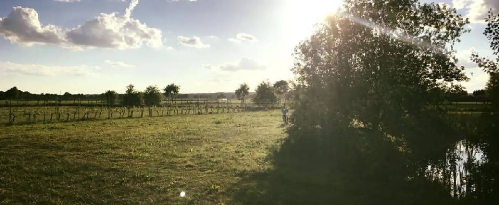 Minicamping de Hartjens