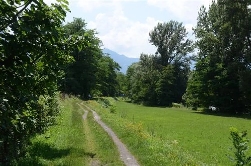 TCS Camping Bellinzona