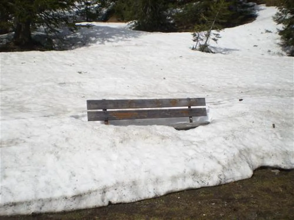 Familien und Aktiv Camping Allweglehen