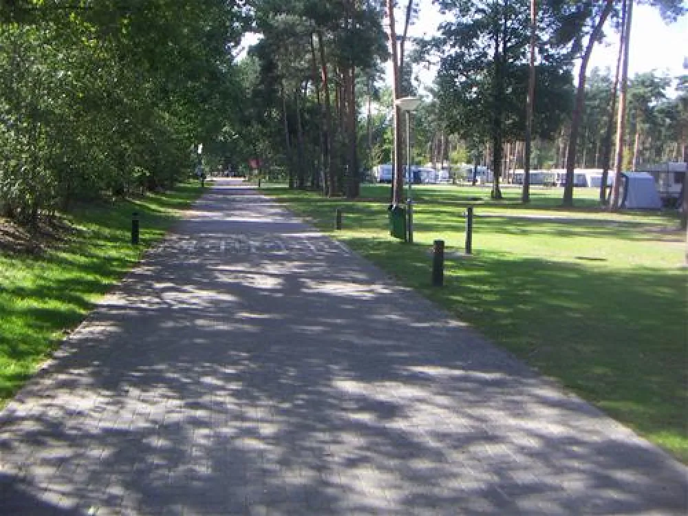 Camping en Speelpark De Heldense Bossen