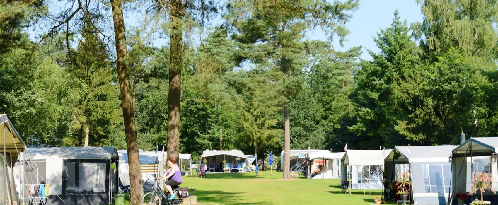 Camping Rcn De Jagerstee