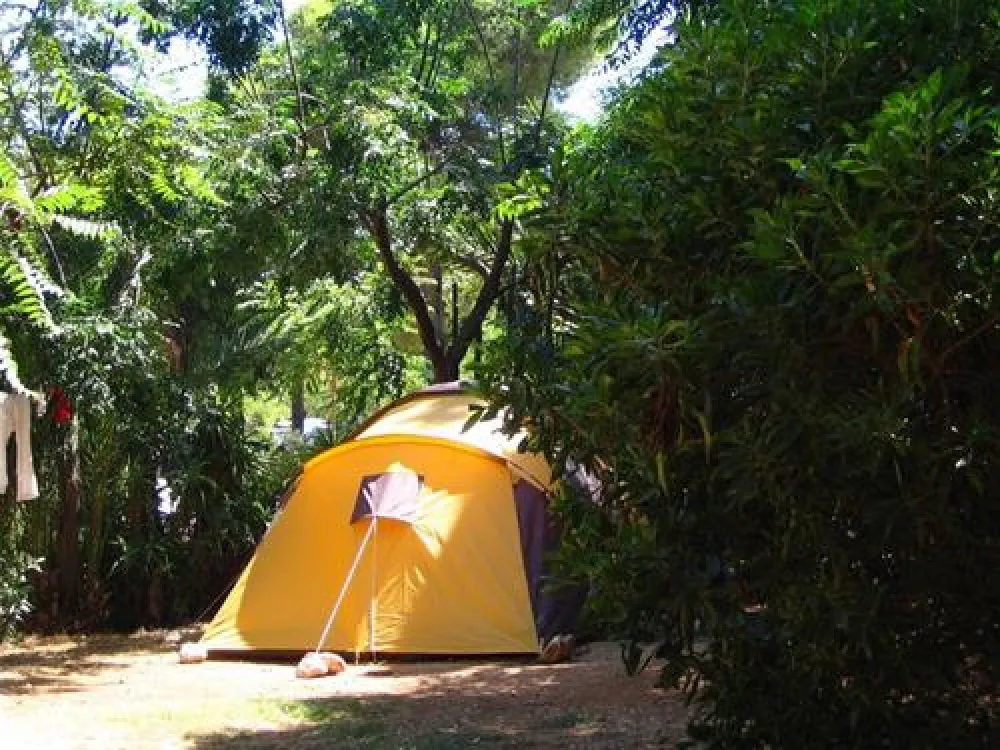 Camping los Pinos