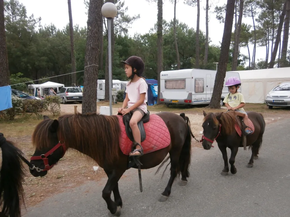 CAMPING LA POMME DE PIN