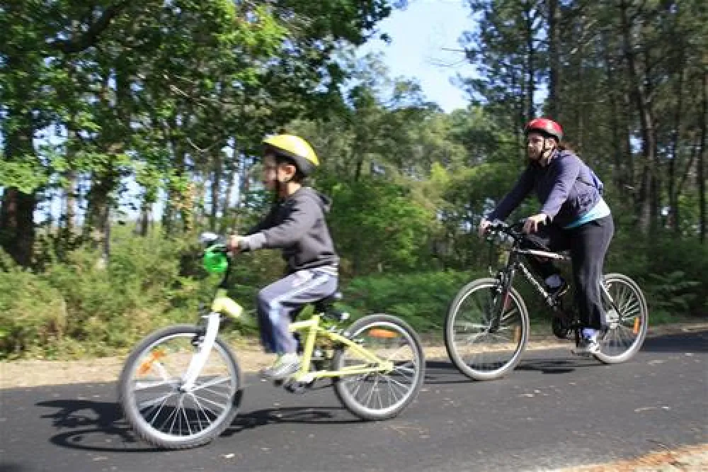 CAMPING LA POMME DE PIN