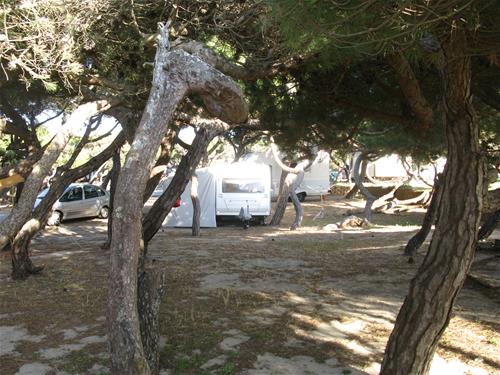 kochfelder camping MESTIC Doppel Kochplatte MKT200 Kochfeld Elektro Herd Platte Camping A