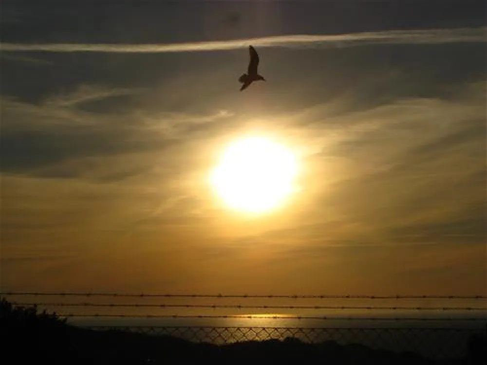 Parque de Campismo Orbitur Guincho