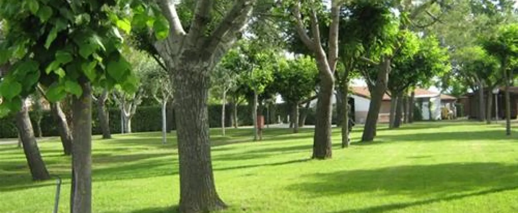 Campeggio Conero Azzurro