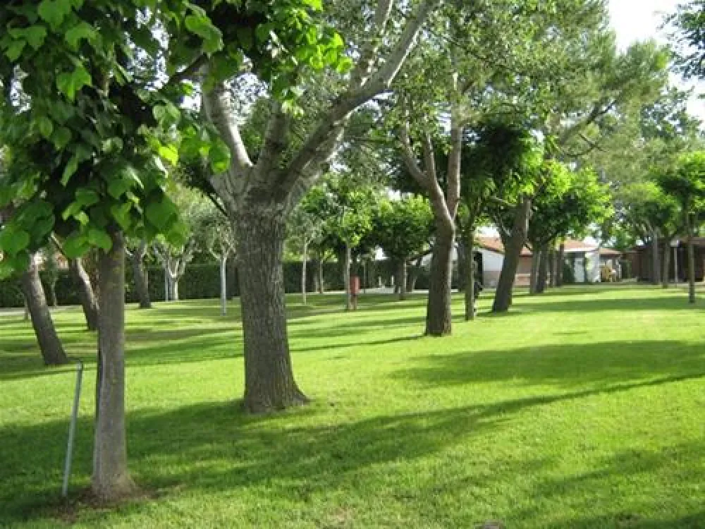 Campeggio Conero Azzurro