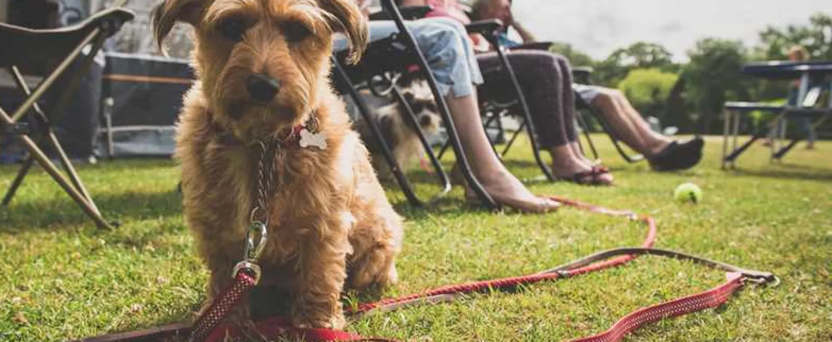 Red Shoot Camping Park