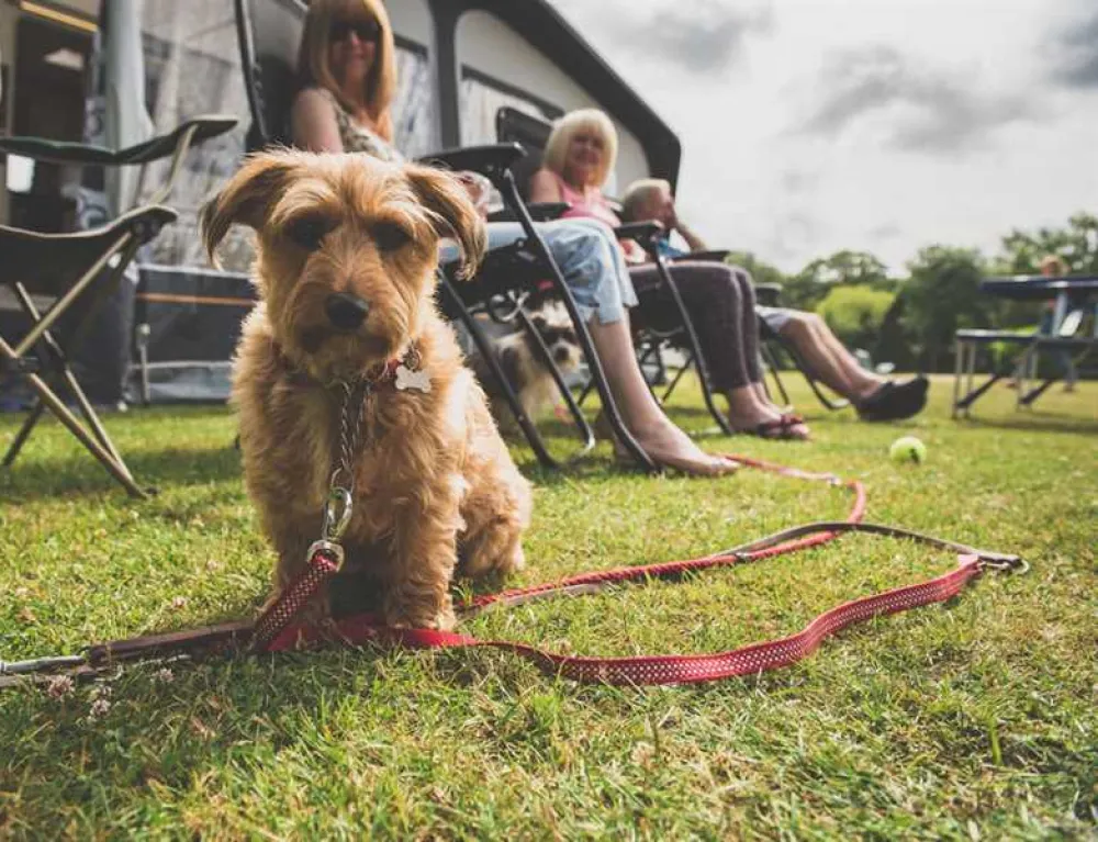 Red Shoot Camping Park