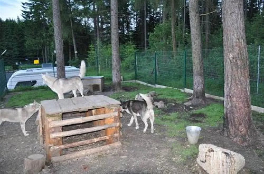 Camping am Schierker Stern