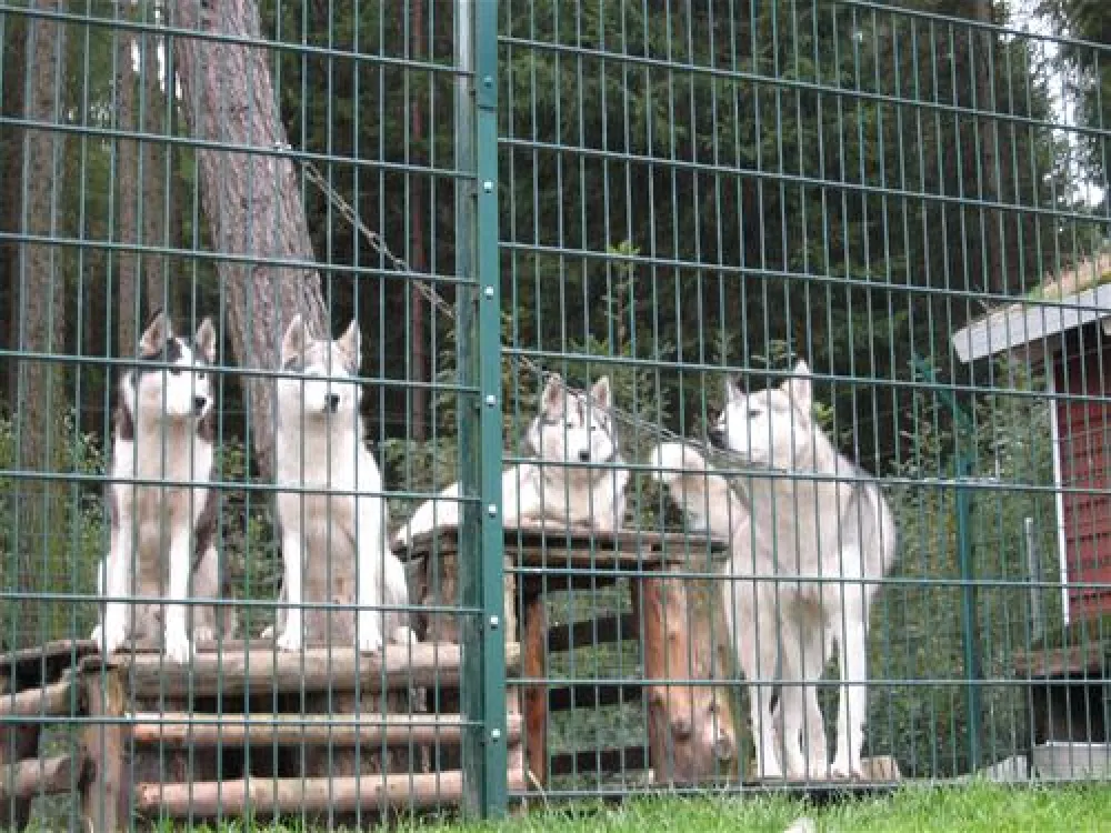 Camping am Schierker Stern