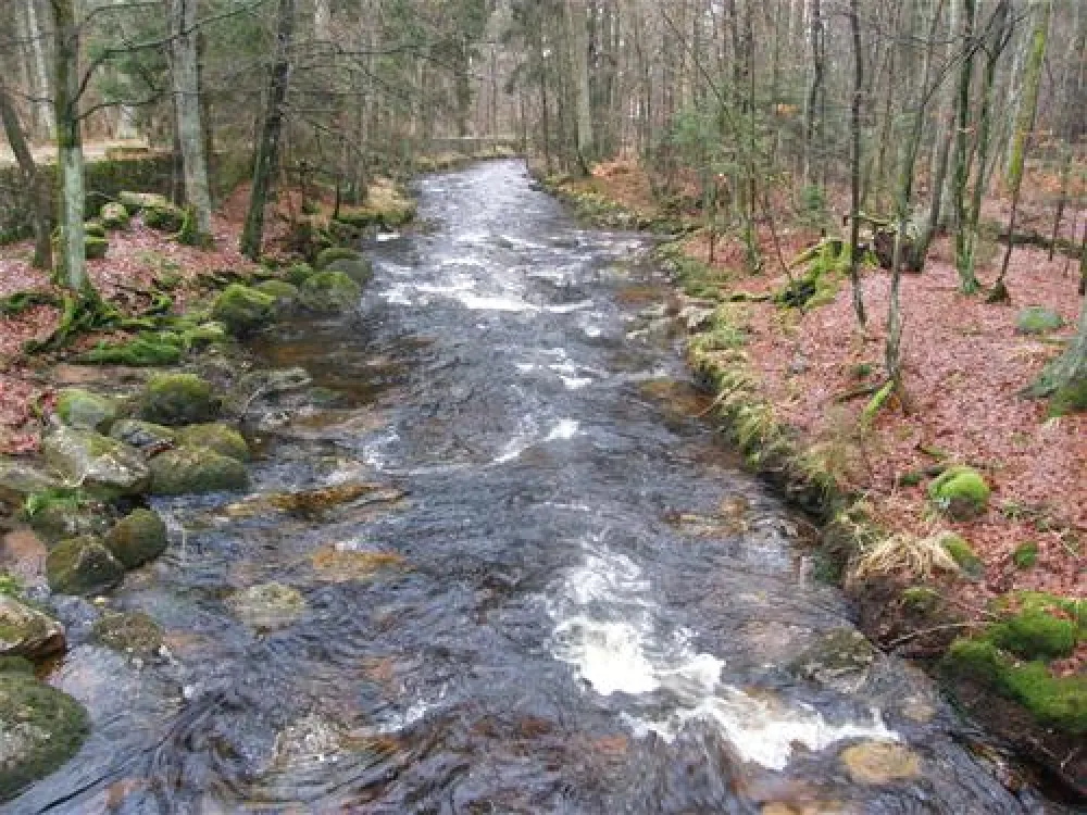 Camping am Schierker Stern