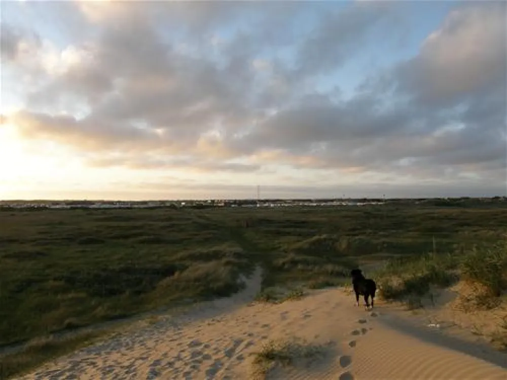 Lakolk Strand Camping