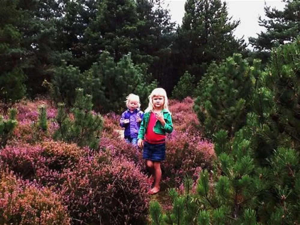 Lakolk Strand Camping