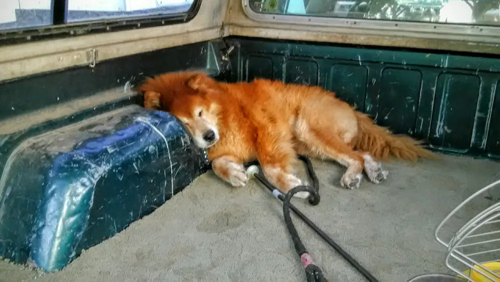 Rosedale Village RV Park