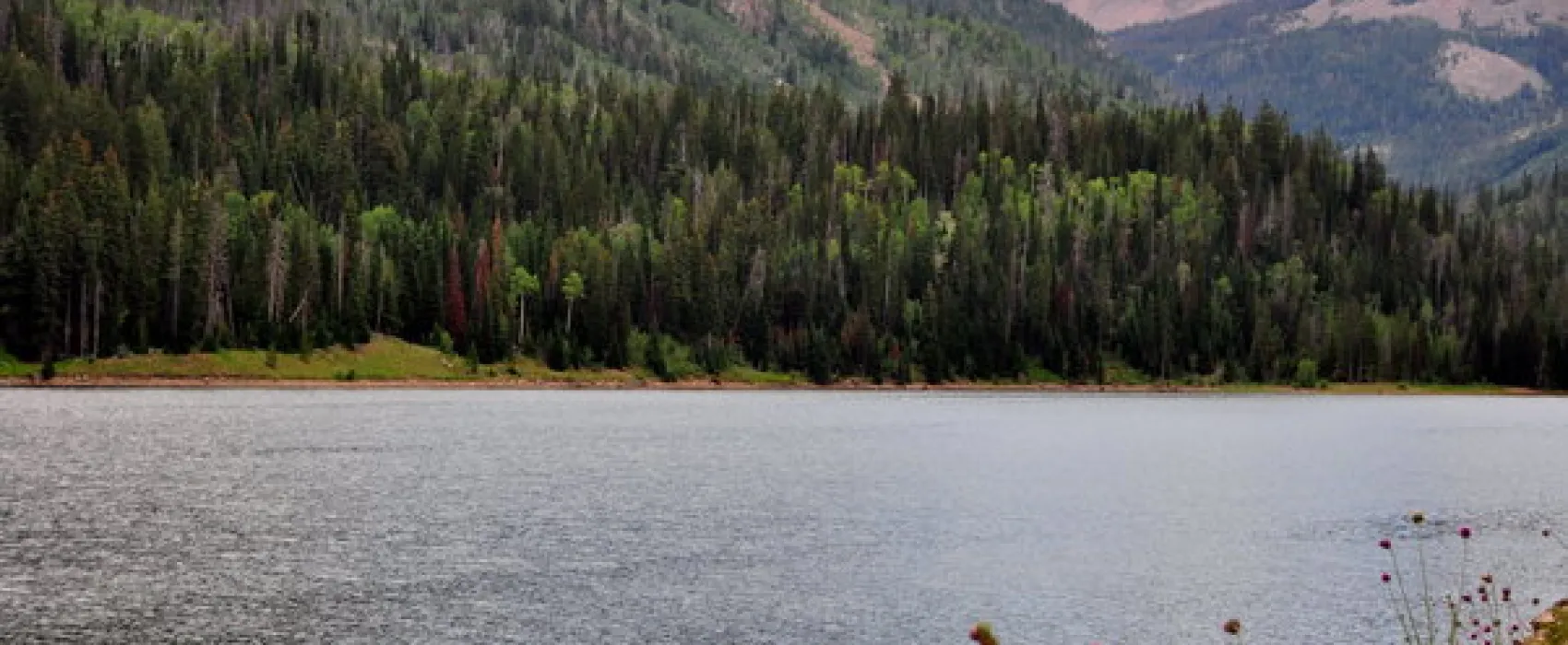 Smith-Morehouse Campground