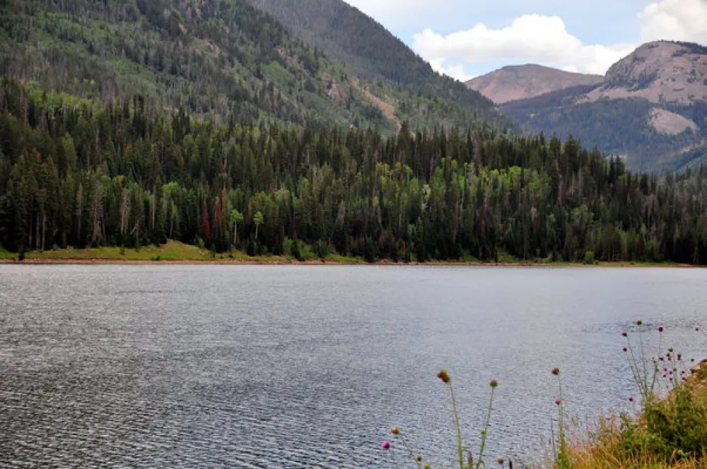 Smith-Morehouse Campground