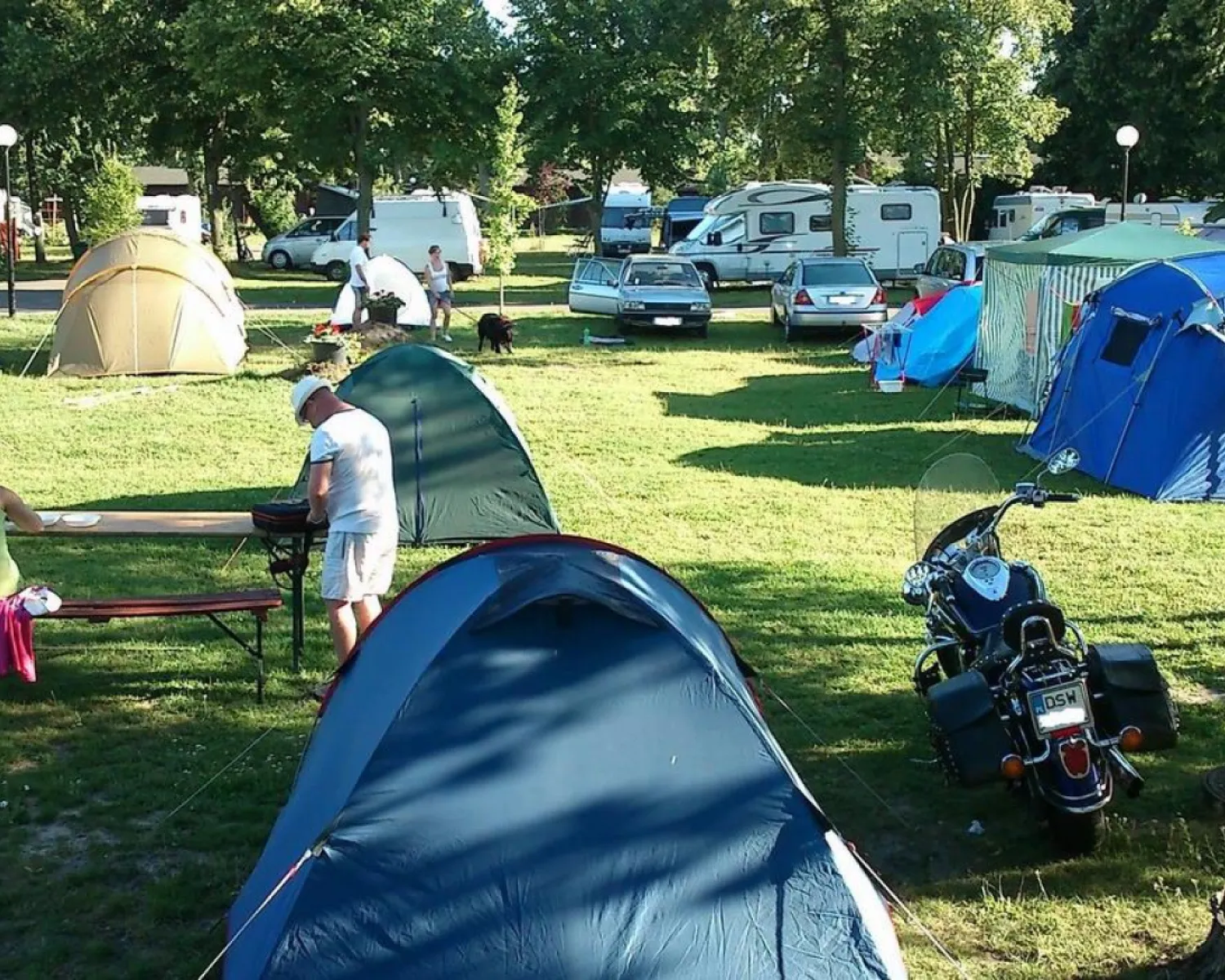 tents for rent for parties 40 Person High Peak Tent Rental | BZ Tent Rentals UPC : 5060737661696 Cube Stereo Hybrid ONE22 SR-2 Prescription Goggles Mirror/Navy Shadow Right Eye (Dioptre):-5.00