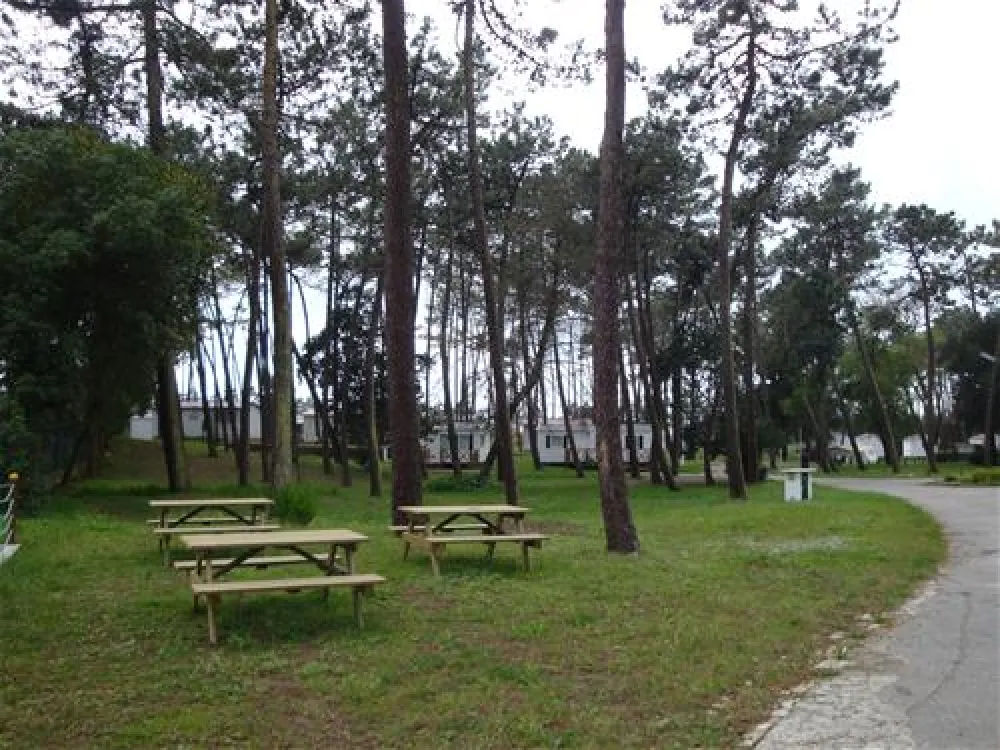 Parque de Campismo Orbitur São Jacinto