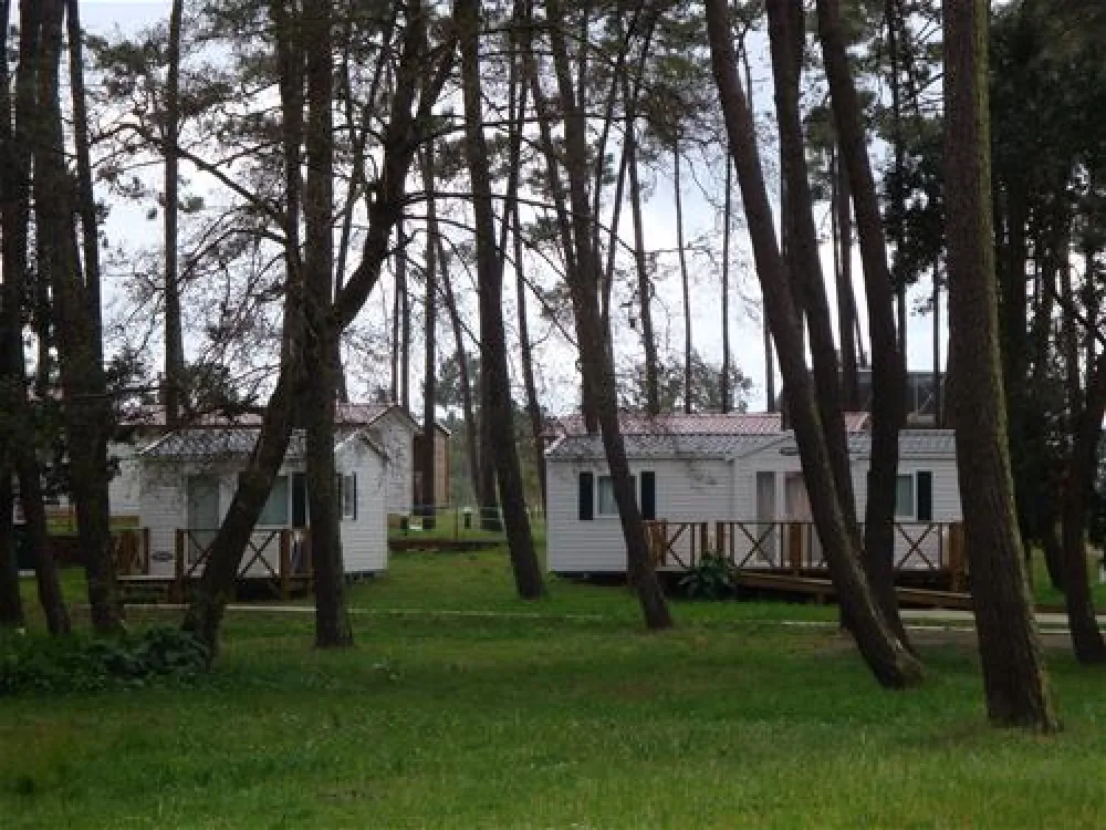 Parque de Campismo Orbitur São Jacinto