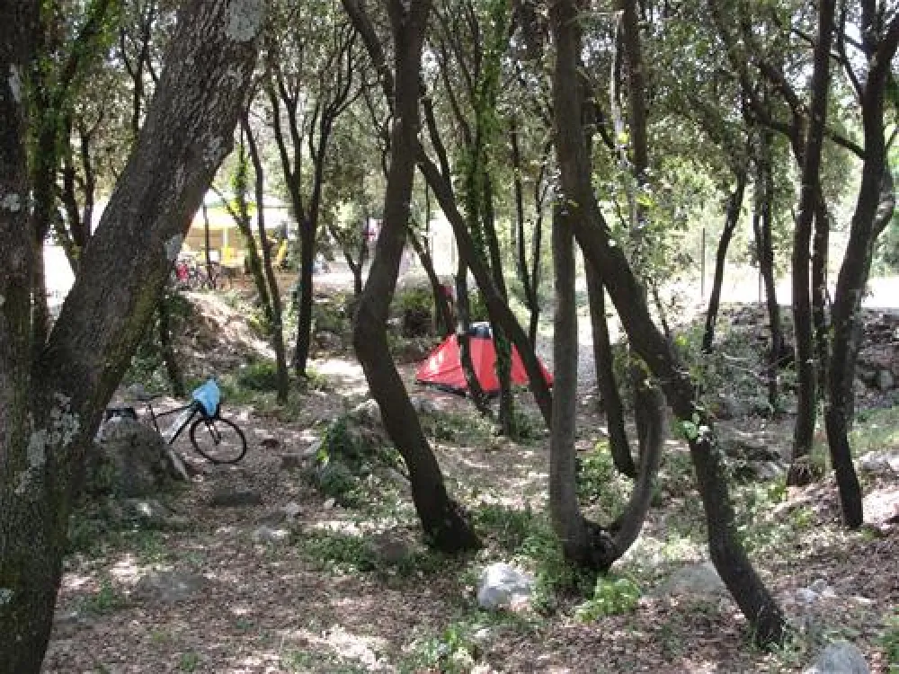 Camping Solitudo