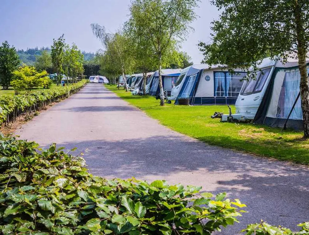 Andrewshayes Holiday Park