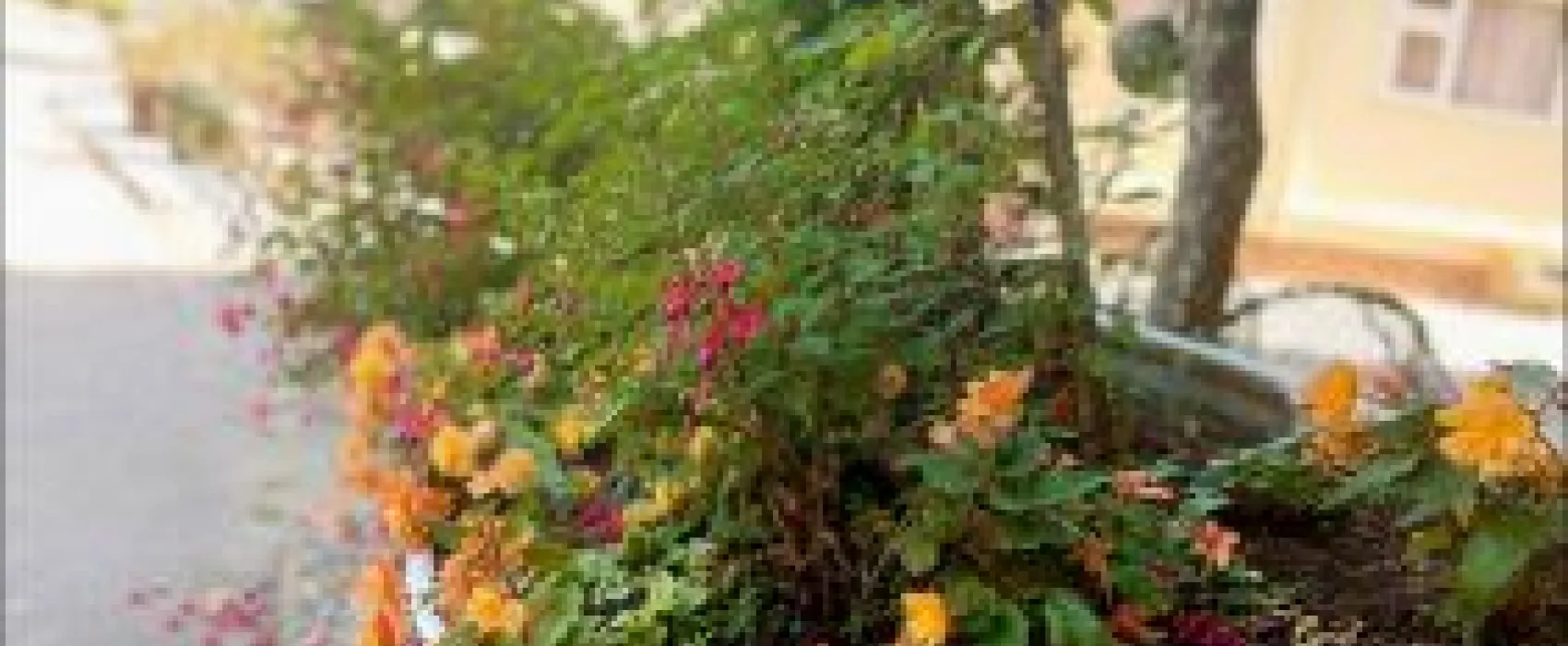 Two Mills Touring Park