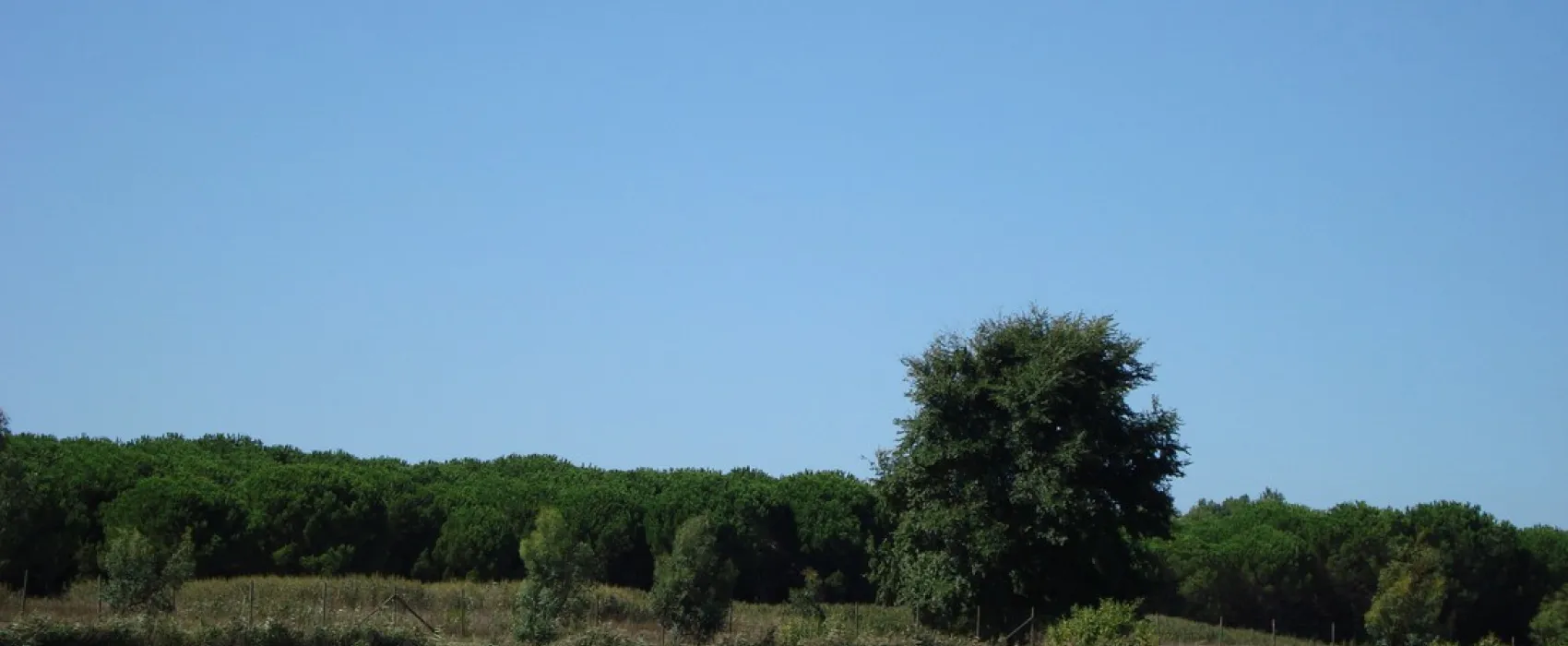 Farm Camping Lago Le Tamerici