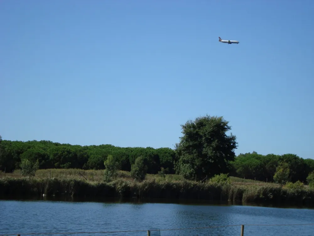 Farm Camping Lago Le Tamerici