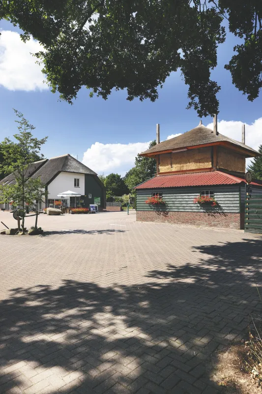 Camping de Holterberg