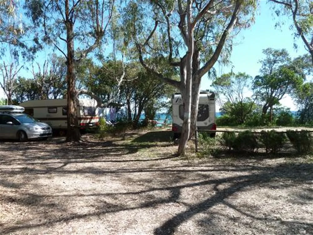 Camping Naturiste Les Eucalyptus