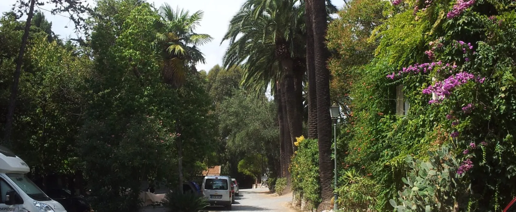 Campeggio Eucalyptus