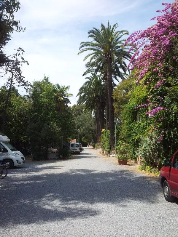 Campeggio Eucalyptus