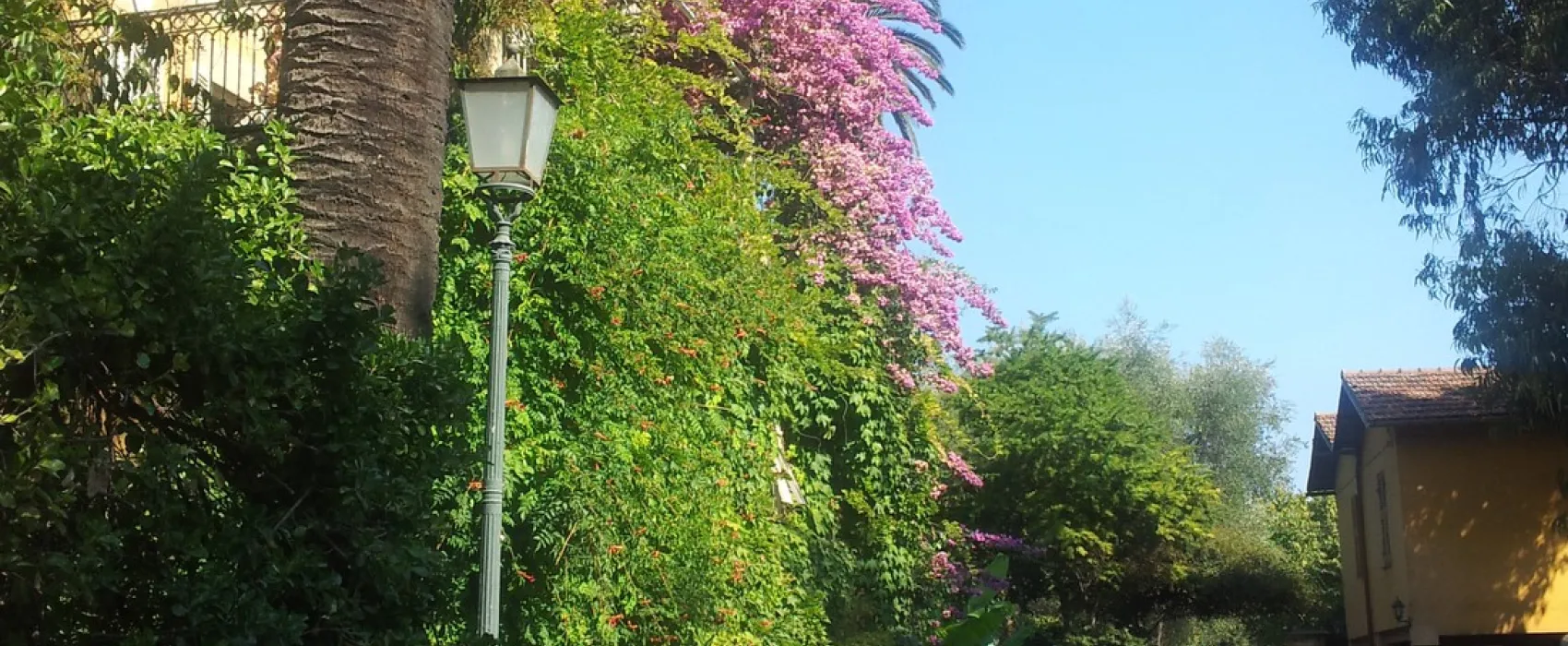 Campeggio Eucalyptus