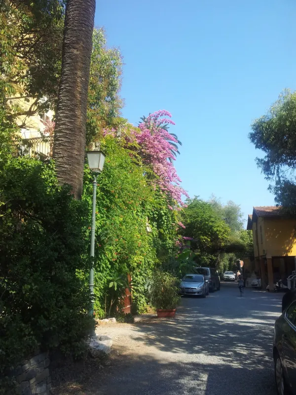 Campeggio Eucalyptus