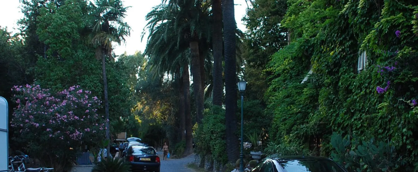 Campeggio Eucalyptus