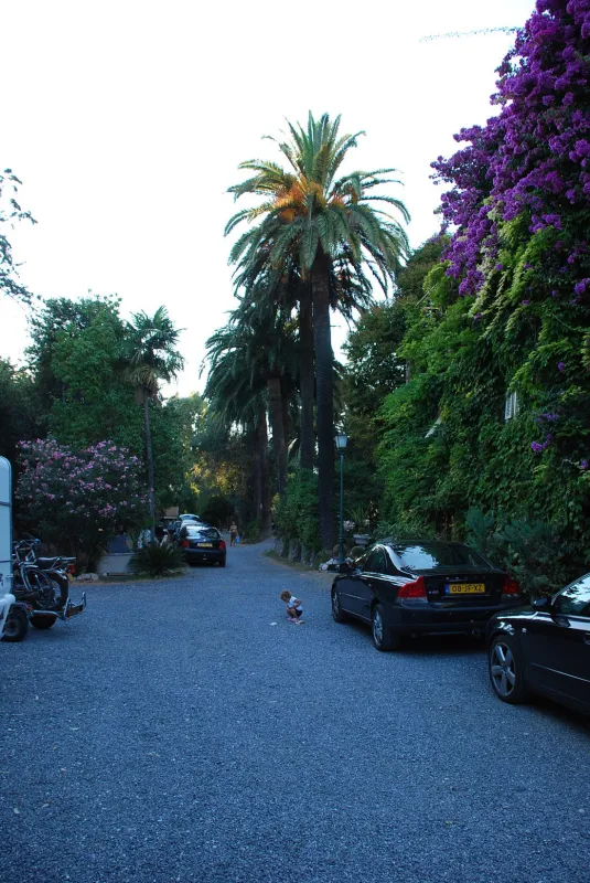 Campeggio Eucalyptus